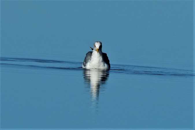 _DSC5110 (2)