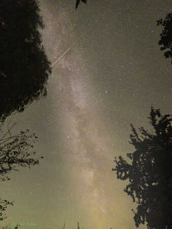 2025 aug 21 mælkevej Brøndlund (2)-Edit