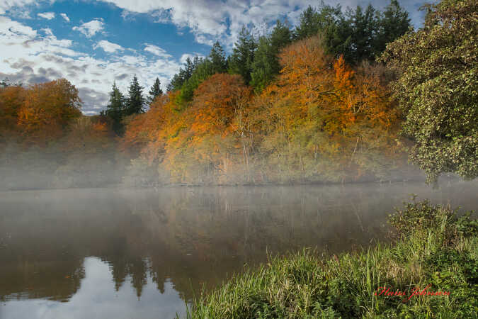 mogen dis ved Tørning mølle