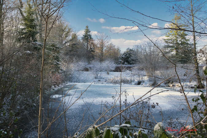 et vinter motiv Taget 4-1-26