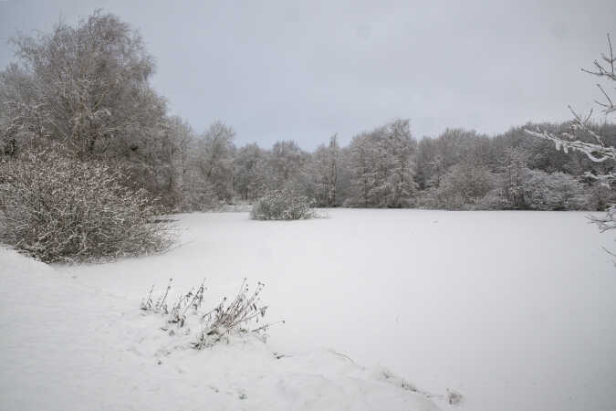 et vinter billede fra en lille sø 