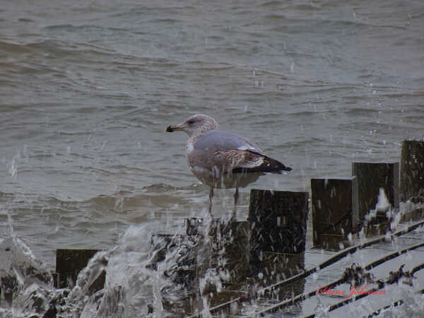 det er koldt der ude