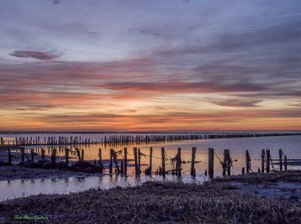 2026 mar 02 blå time Låningsvejen (11)-SharpenAI-Focus