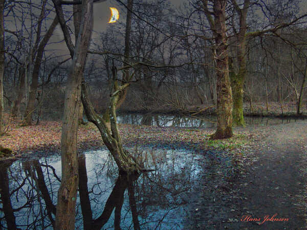 aftenstund ved Damende 