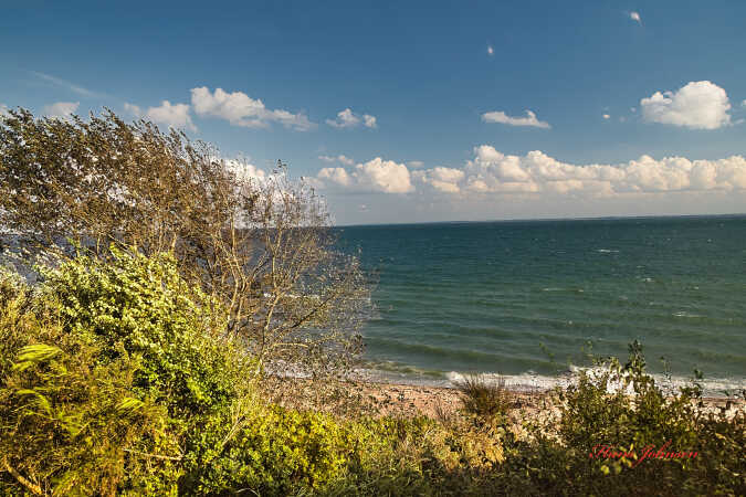 ved Halk strand i 2017