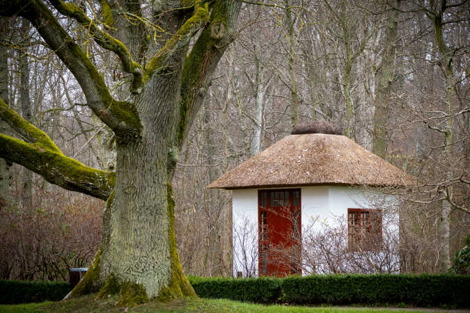 Frederikshavn Bangsbo botanisk have 