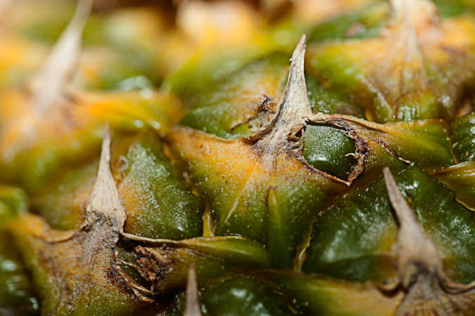 Ananas
